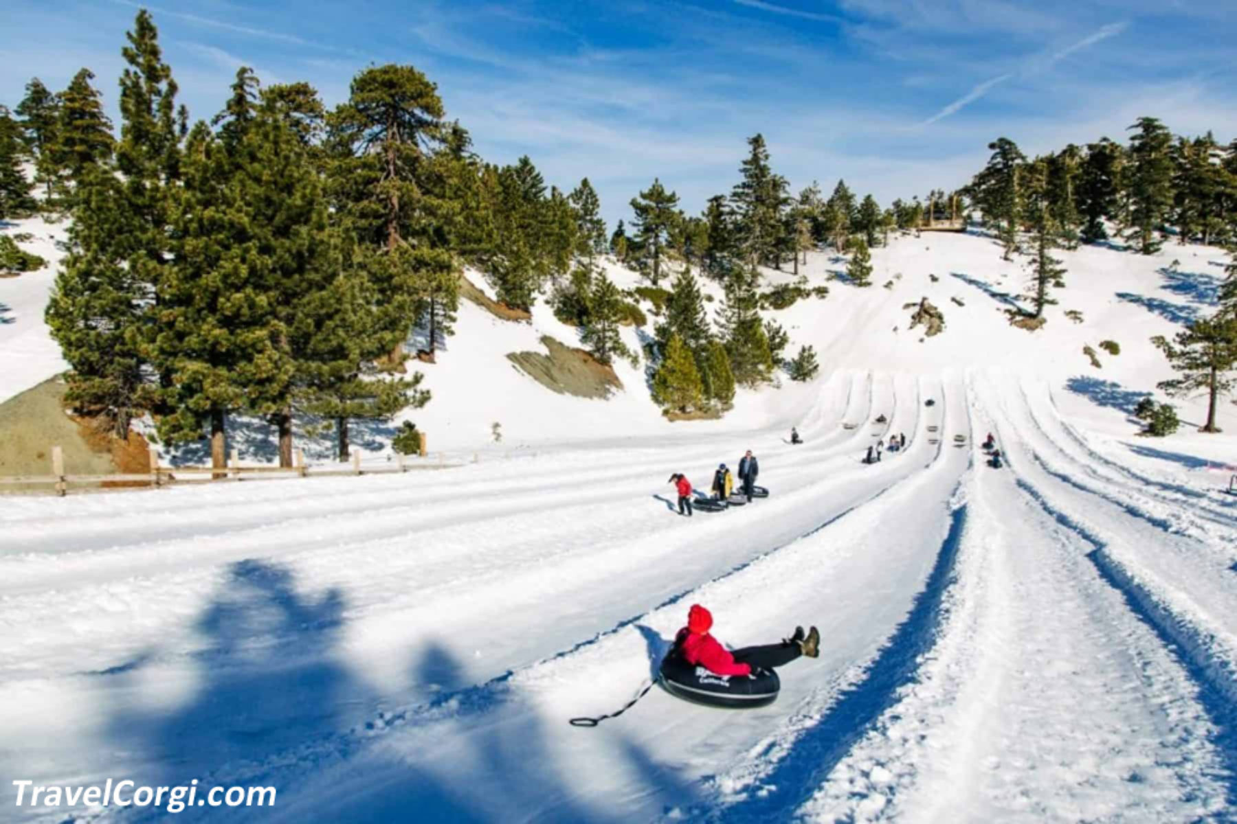 The Best 10 Things To Do In Wrightwood California