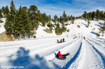 The Best 10 Things To Do In Wrightwood California