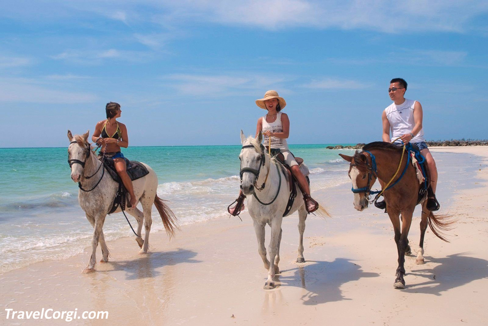 Horse Riding On Dunmore Town, Harbour Island, Bahamas