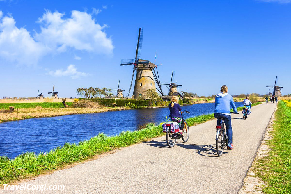 Walking And Bike-Riding Beside Windmills In Kinderdijk