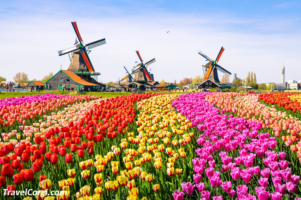 The 11 Most Beautiful Villages In The Netherlands