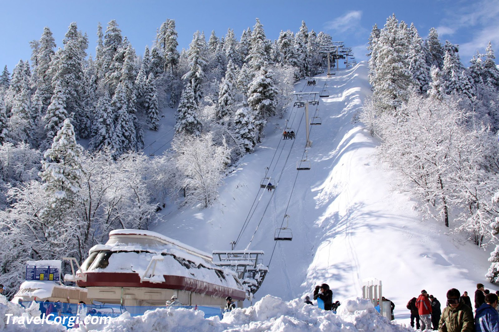 Things To Do In Wrightwood California - Visit Mountain High Resort