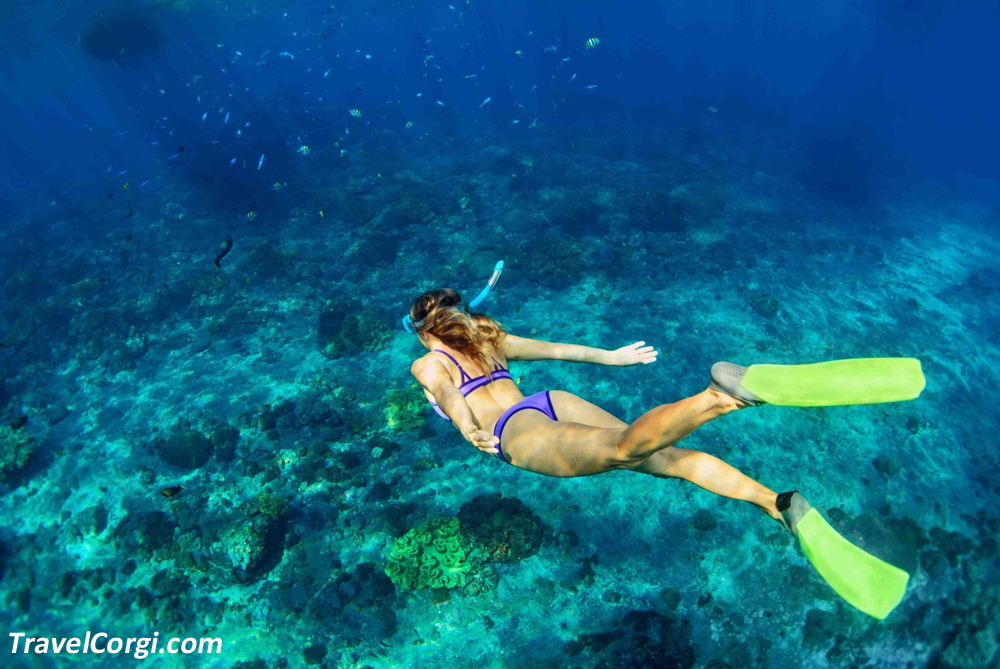 Things To Do In Hutchinson Island - Snorkeling At Bathtub Beach