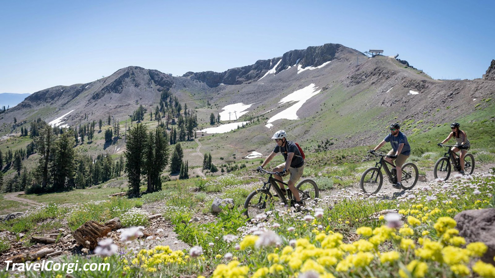 Things To Do In Wrightwood Ca - e-Bike Adventure Tour
