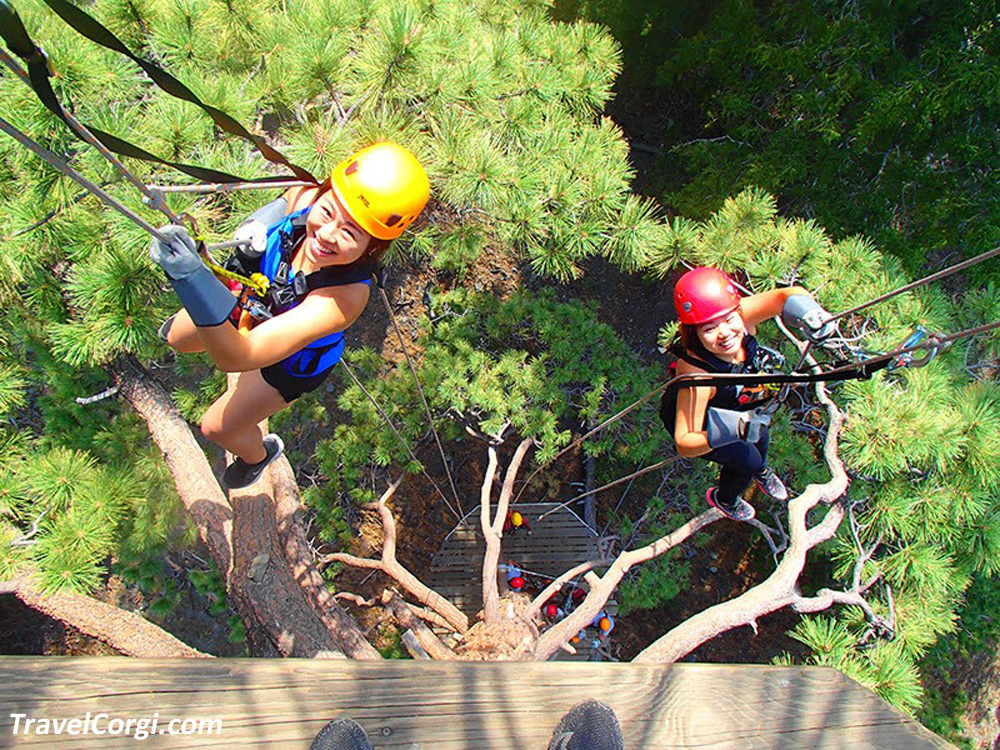 Things To Do In Wrightwood Ca - Canopy Tour At Pacific Crest