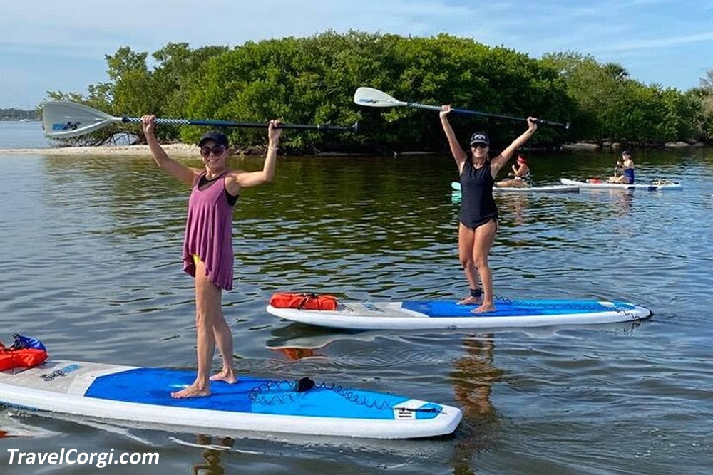 Things To Do In Hutchinson Island - Eco-Tour In Indian River Lagoon